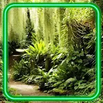 Cover Image of डाउनलोड Summer Forest  APK