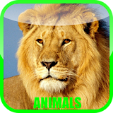 Animal Sounds Zoo icon