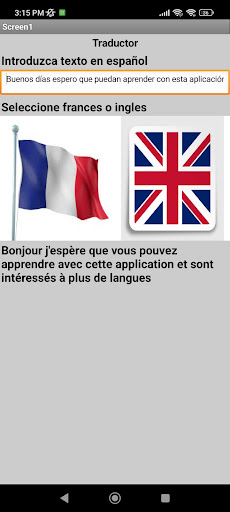 MR.Traductor Screen 2