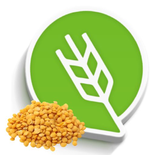 तूर लागवड #Agrownet™ logo