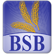 BSB Tablet Banking