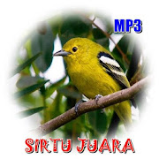 Master Sirtu Juara