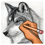 Wolf drawing step by step icon