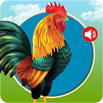 Cover Image of डाउनलोड पशु और पक्षी रिंगटोन 1.61 APK