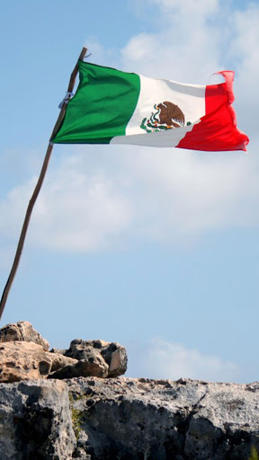 Android application mexican flag wallpaper screenshort