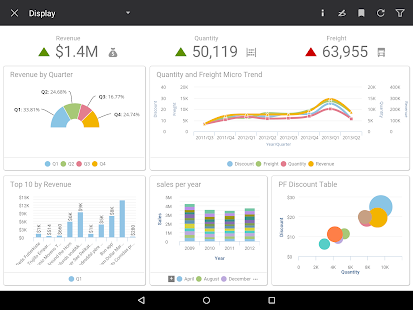 Infor Birst Mobile Analytics Varies with device APK screenshots 16