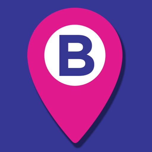 BRONI.MD - Tourism Platform  Icon