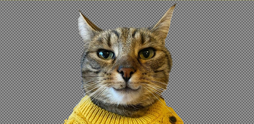 AI Background Image Remover