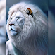 White Lion Wallpaper - Androidアプリ
