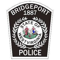 Bridgeport PD: Download & Review
