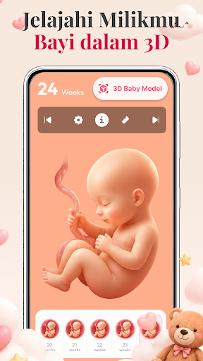 Aplikasi Kehamilan: Ibu & Bayi screenshot 3