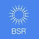 BSR 2019 Descarga en Windows