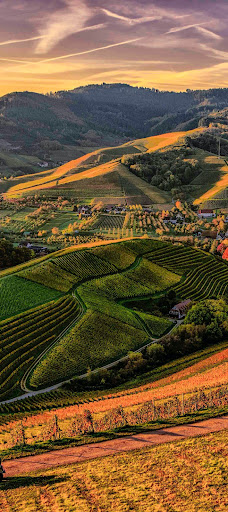 Android application Summer Nature Wallpapers 2023 screenshort