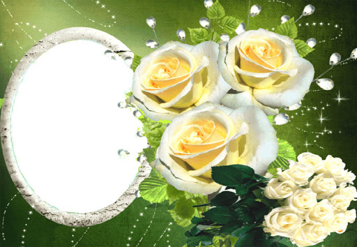 HD Flower Photo Frame