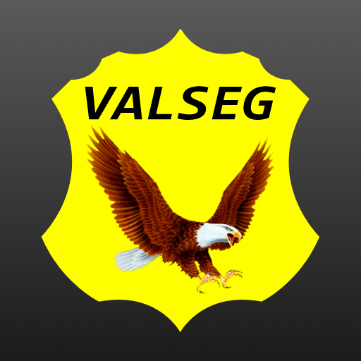 Valseg Segurança logo