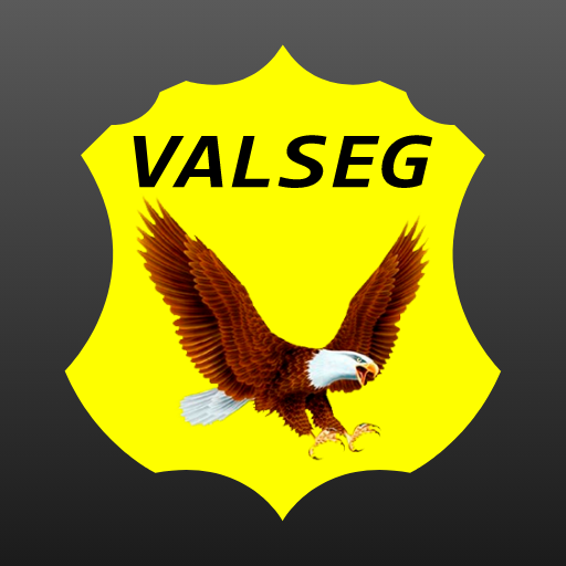 Valseg Segurança 3.42.1 Icon