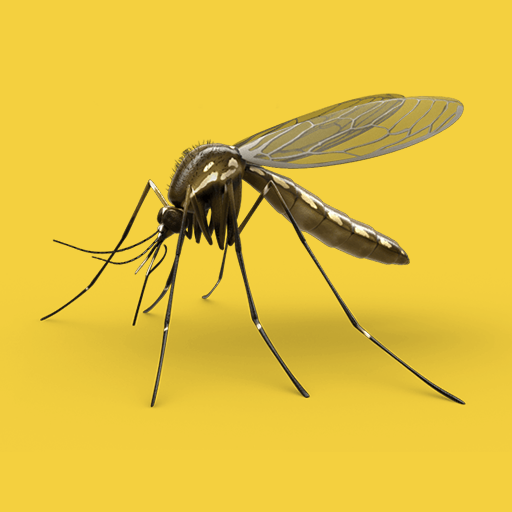 Mosquito Sound Apps bei Google Play
