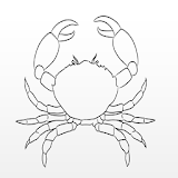 How to Draw a Crab icon