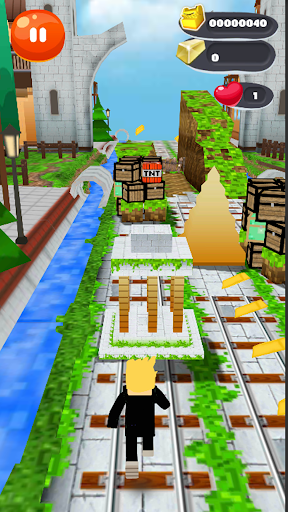 Hero Cat Subway Craft