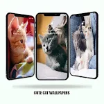 Cover Image of Descargar Cute Cat Wallpapers  APK