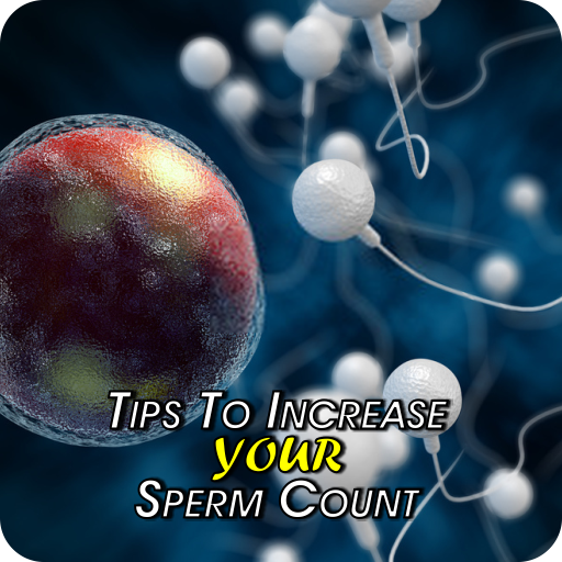 Increase Your Sperm Count