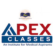 Apex Classes  Icon
