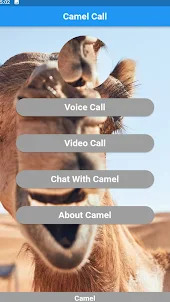 Camel call simulator
