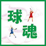「球魂」　野球・ソフトボールのチーム・対戦相手検索 icon