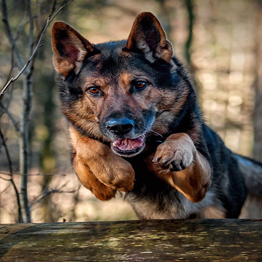 german shepherd logo