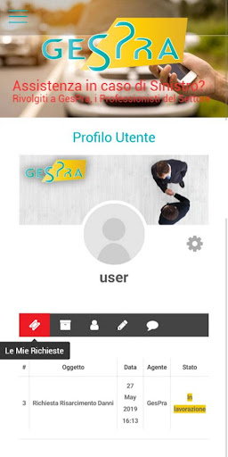 GesPra: Gestione Professionale Screen 3