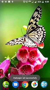 Butterfly Wallpaper HD Apk Download New* 4