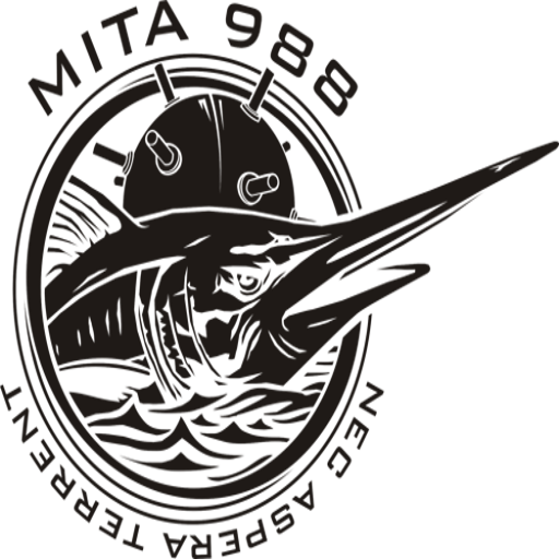MiTa988 Workout LITE logo