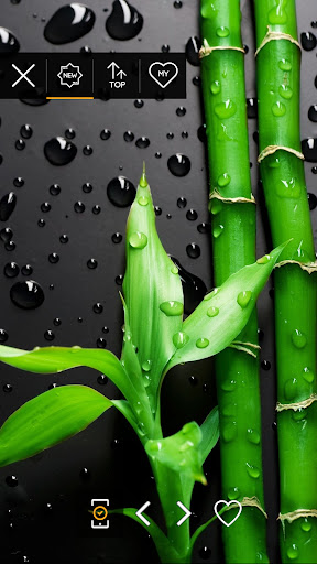 Water wallpapers 4K Screen 3