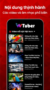 Trình Phát Video - wTuber