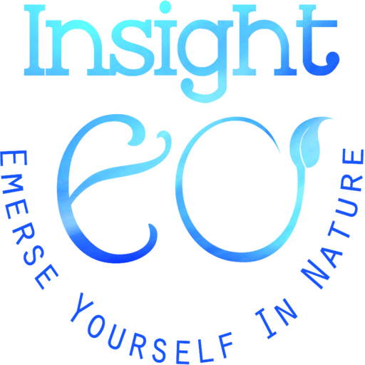 Insight EO logo