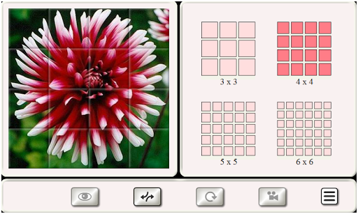 Guess the Flower: Tile Puzzles Screen 3