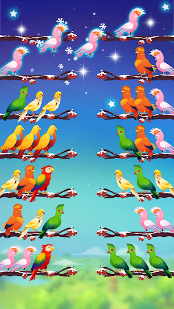 Game screenshot Bird Sort Puzzle apk download