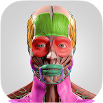 Cover Image of Download Anatomy Cards Anatomicus 1.0.9 APK