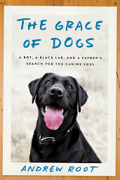 Icon image The Grace of Dogs: A Boy, a Black Lab, and a Father's Search for the Canine Soul