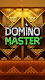 screenshot of Domino Master - Play Dominoes