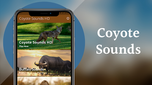 Android application Coyote Sounds & Calls screenshort