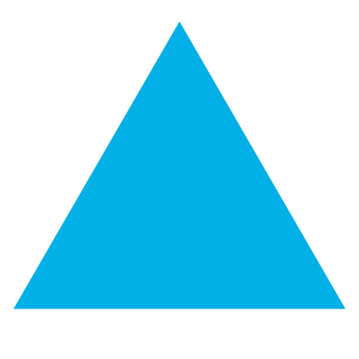 DNS TRANSACT Logo