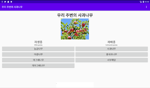 우리 주변의 사과나무 Screen 2