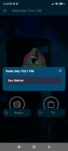 Radio Sky 102.1 FM Screen 3