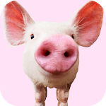 Cover Image of Download Pig Sounds  APK