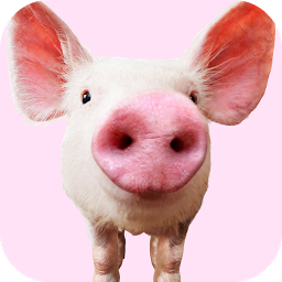 Icon image Pig Sounds