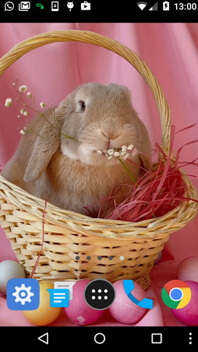easter rabbit wallpaper Screen 2