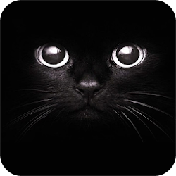 Download Black Wallpaper (15).apk for Android 