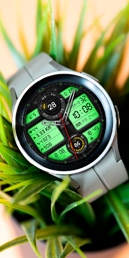 MARADIN WD116 Watch face