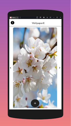 Cherryblossoms wallpaper Screen 3